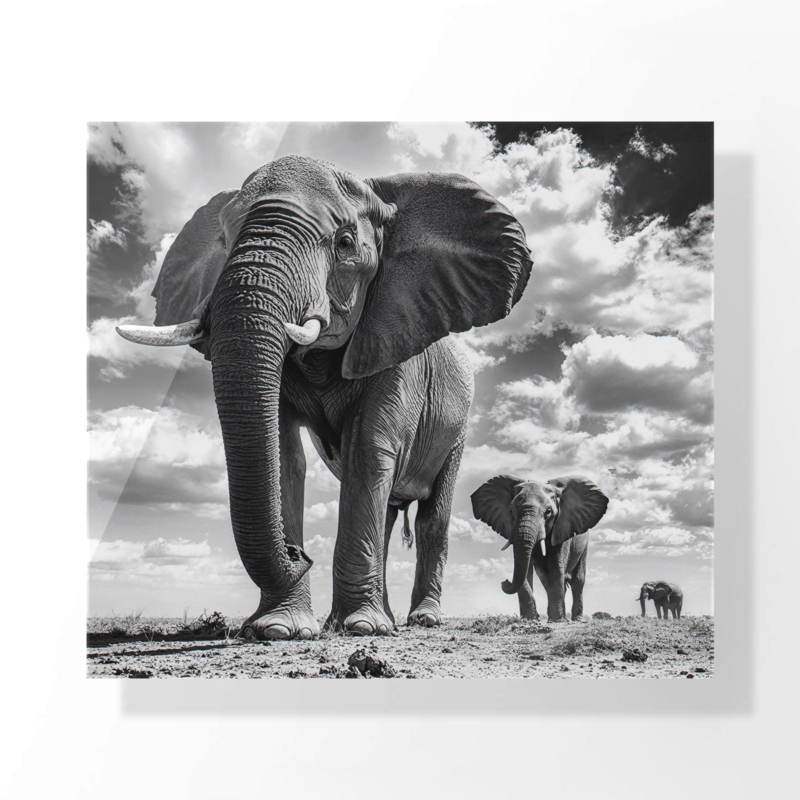 Giants of the Savannah