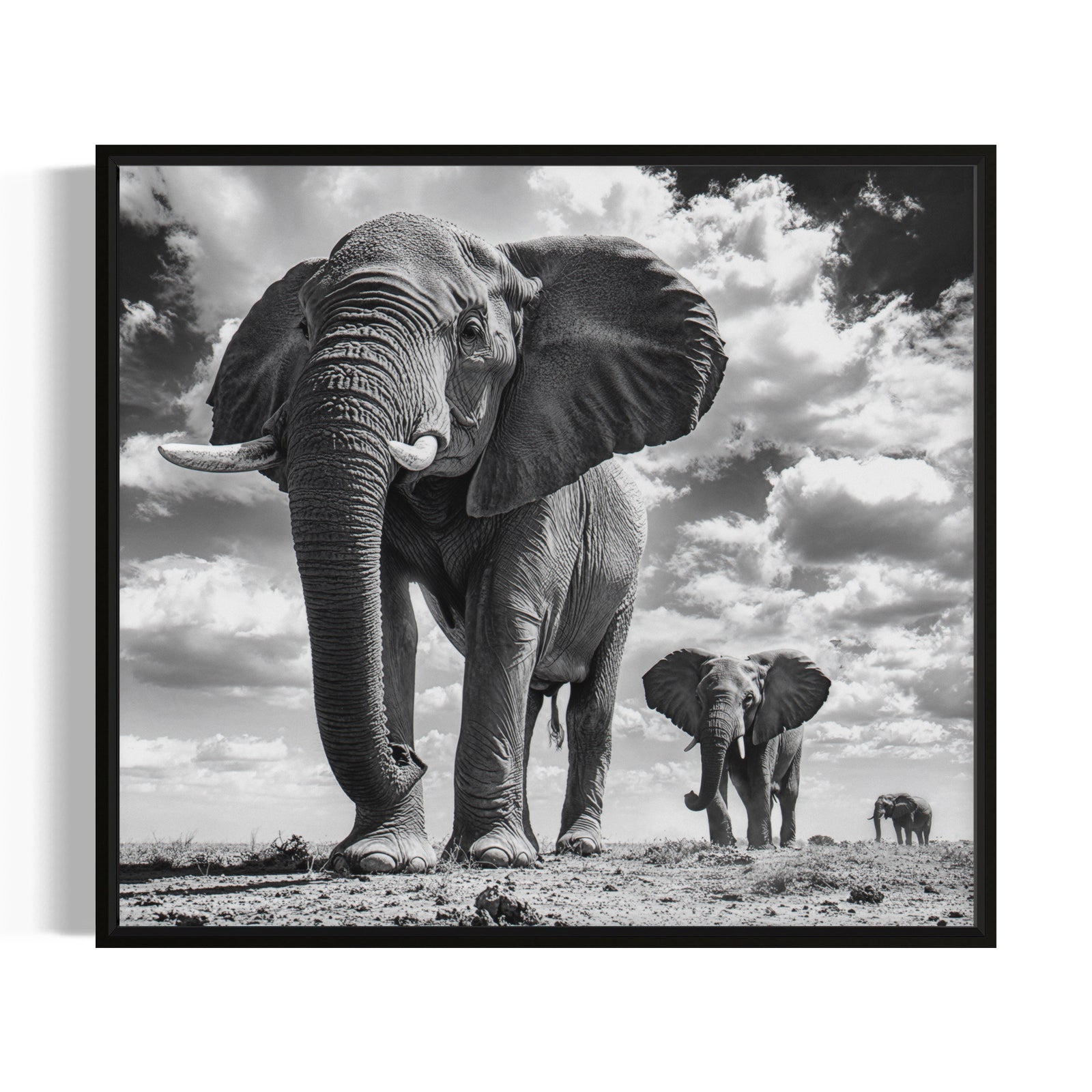 Giants of the Savannah