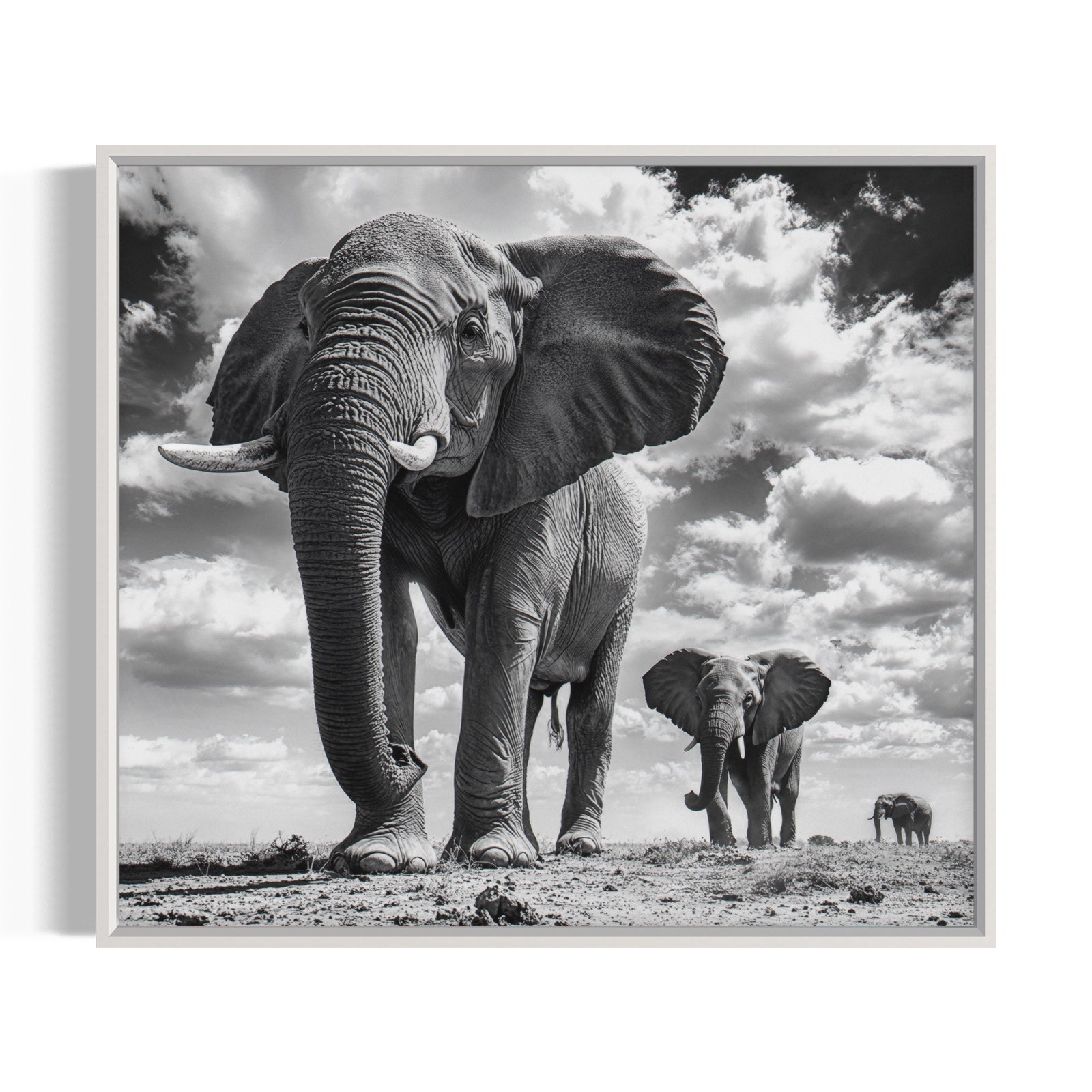 Giants of the Savannah