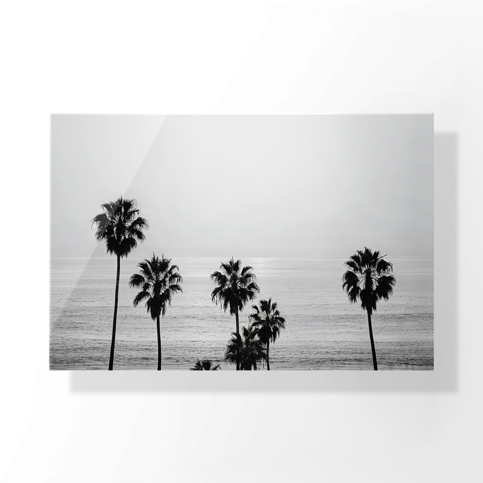 Ocean Breeze Palms