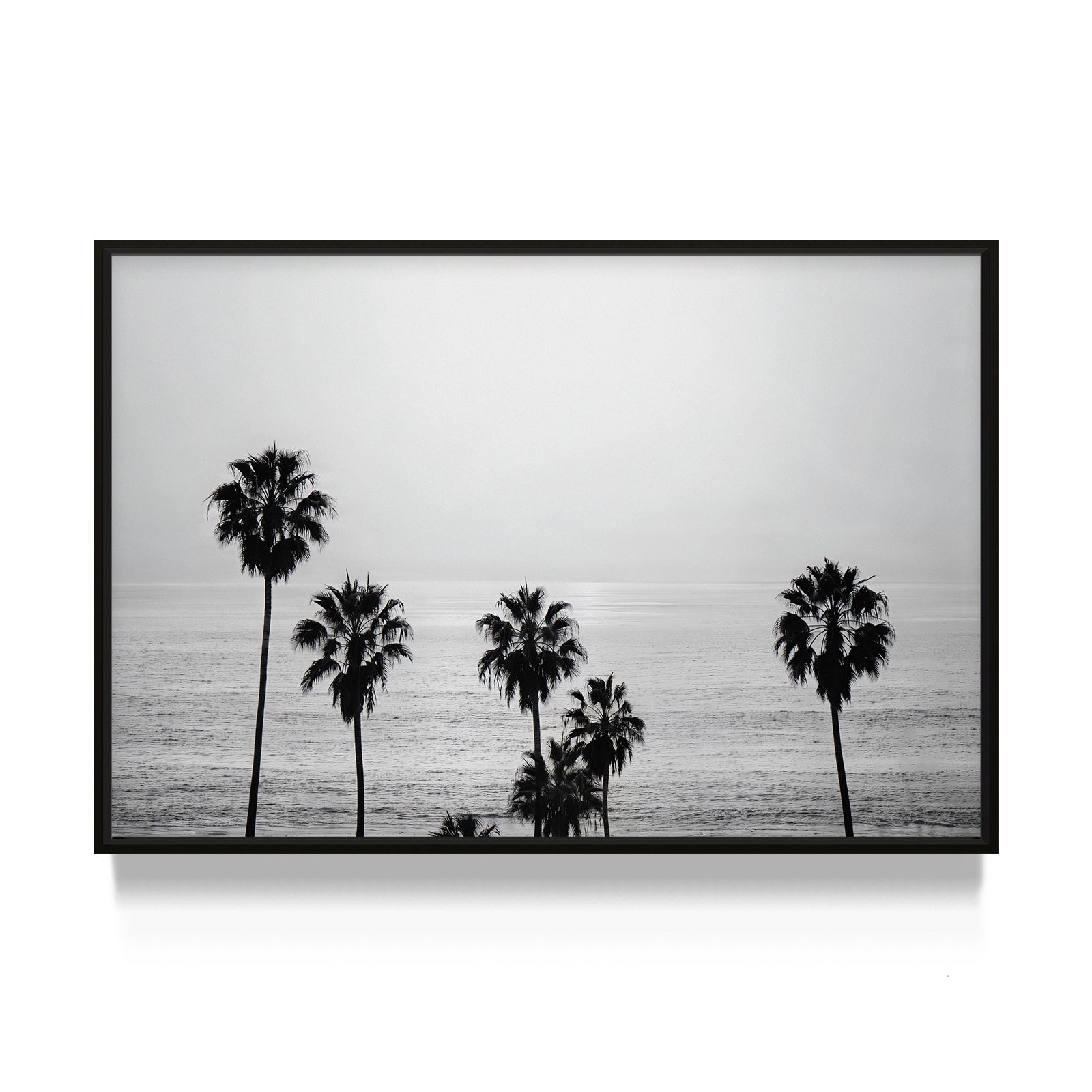Ocean Breeze Palms