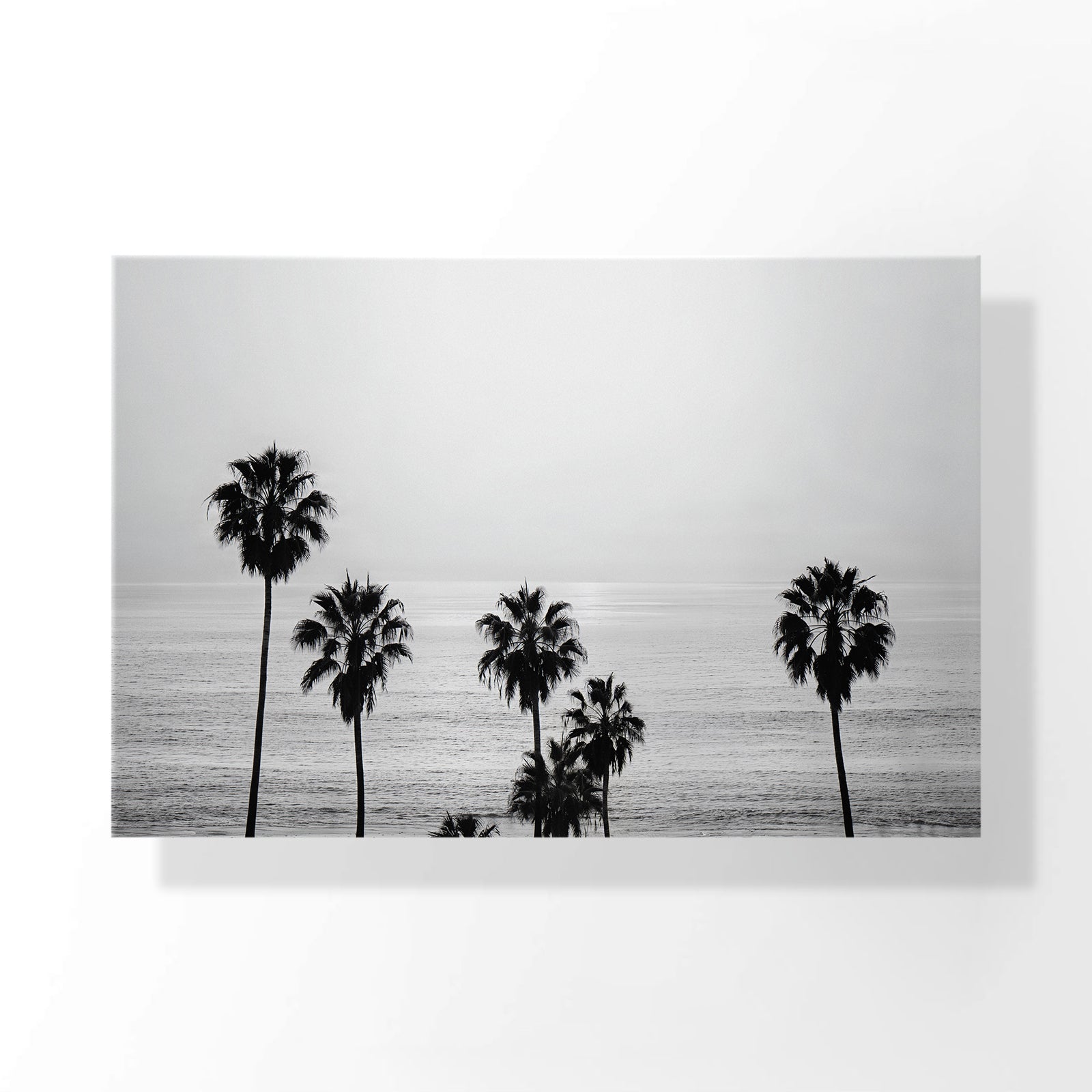 Ocean Breeze Palms