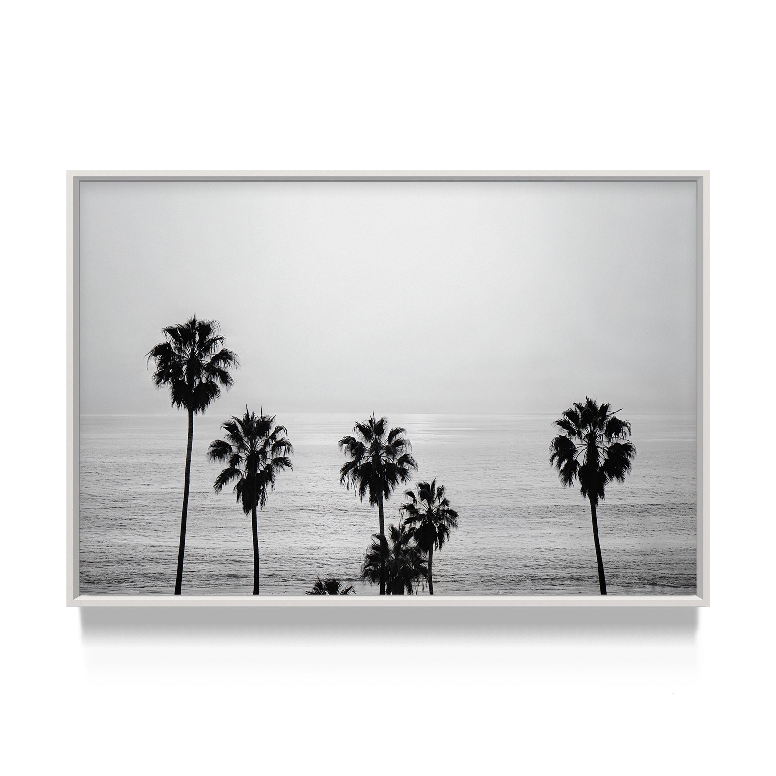 Ocean Breeze Palms