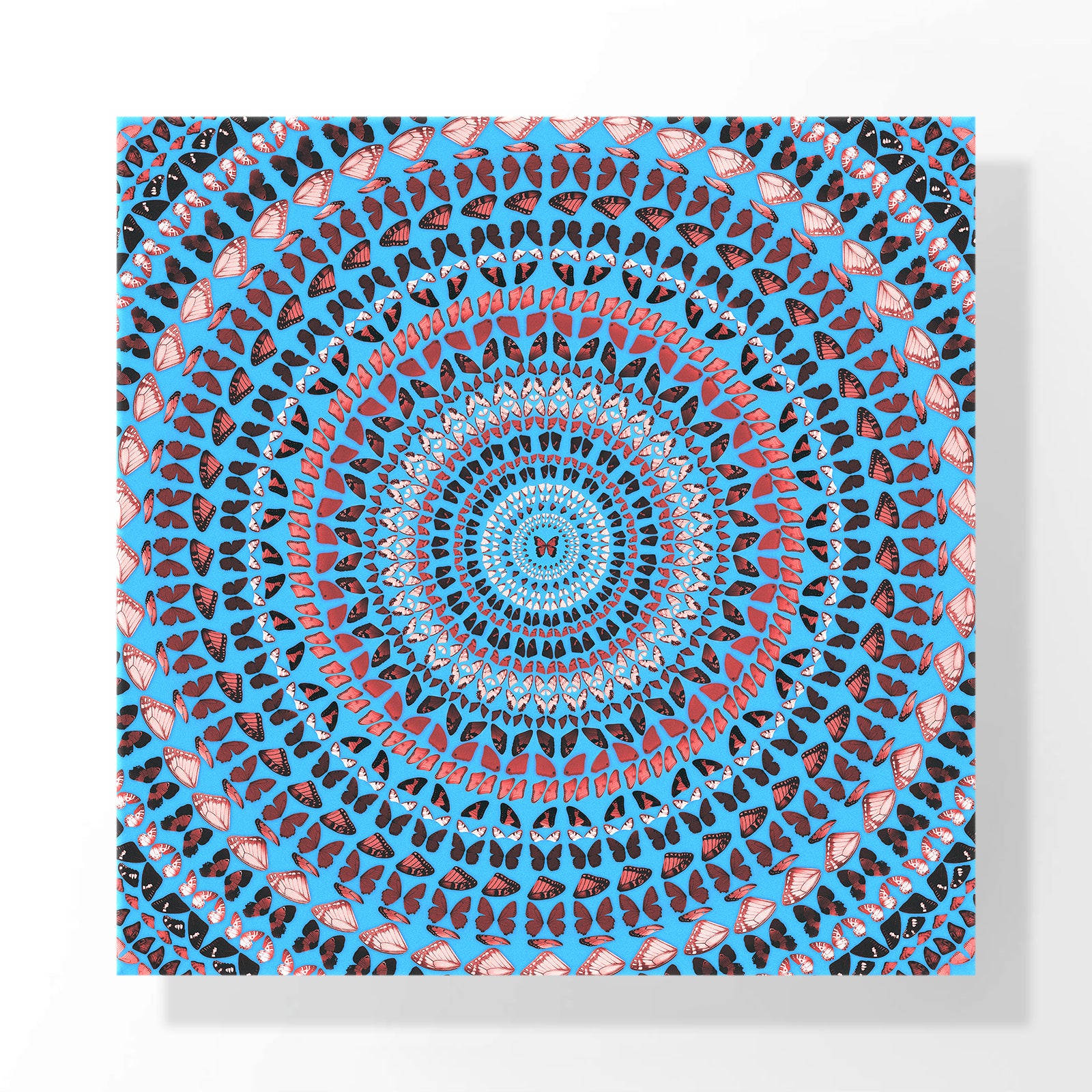 Azure Echo