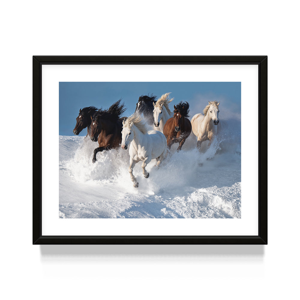 Reigning Avalanche