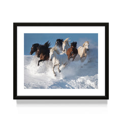 Reigning Avalanche