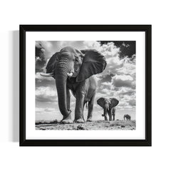 Giants of the Savannah