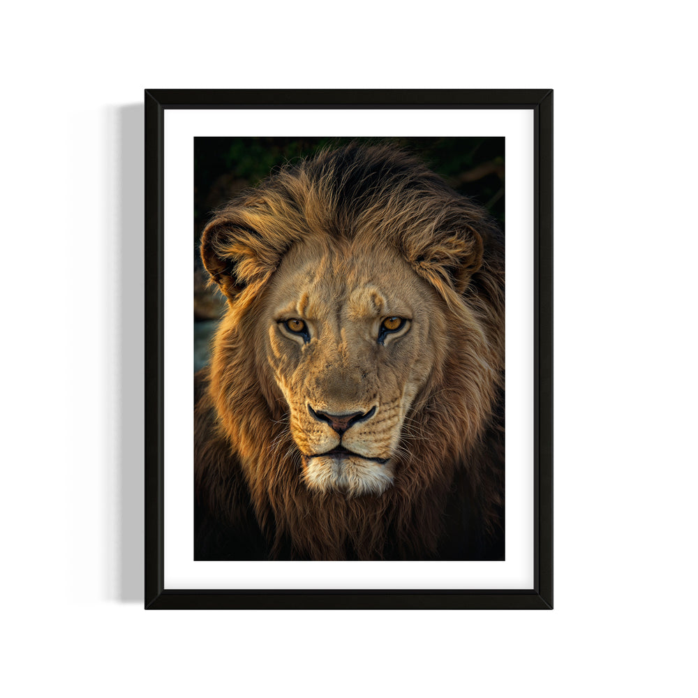 Emperor of the Wild