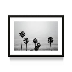 Ocean Breeze Palms
