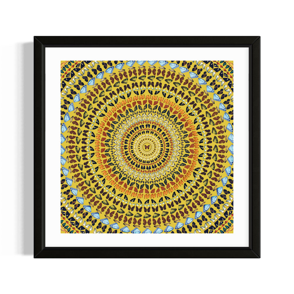 Sunfire Orbit